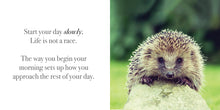 Load image into Gallery viewer, Inspirational Book - Find Your Inner Calm