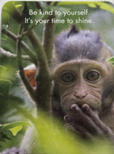 Load image into Gallery viewer, 24 Animal Affirmation Cards & Stand - You're The Best