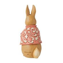 Load image into Gallery viewer, Beatrix Potter Mini - Flopsy