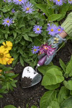 Load image into Gallery viewer, Burgon & Ball Asteraceae Planting Trowel & Dibber Gift Set