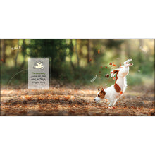 Load image into Gallery viewer, Inspirational Book - Barklology - Words from the Dogs