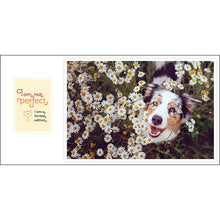 Load image into Gallery viewer, Inspirational Book - Barklology - Words from the Dogs