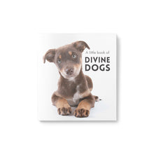 Load image into Gallery viewer, Little Softcover book filled with heartwarming quotes and stunning dog photography. 24 pages and small enough to pop in the post in a greeting card. 85mm x 95mm