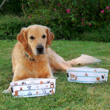 Load image into Gallery viewer, Travel Dog Bowl - Wuff 'n' Go (2 Pack)