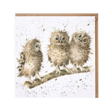 Load image into Gallery viewer, Wrendale Greeting Card - You First (Owls)