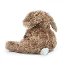Load image into Gallery viewer, Bunnies By The Bay - Brownie Floppy Bun