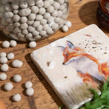 Load image into Gallery viewer, Kate of Kensington Pair of Coasters - Fox in Grass