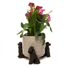 Load image into Gallery viewer, Potty Feet - Antique Bronze Poodle (Set of 3)