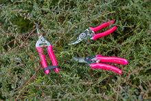 Load image into Gallery viewer, Burgon & Ball Fluorescent Bypass Secateurs - Pink