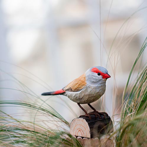 Hand Carved Deco Bird - Red Browed Finch