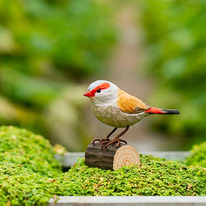 Hand Carved Deco Bird - Red Browed Finch