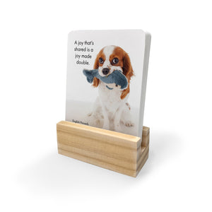 24 Animal Affirmation Cards & Stand - Live Love Bark