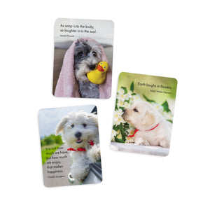 24 Animal Affirmation Cards & Stand - Live Love Bark