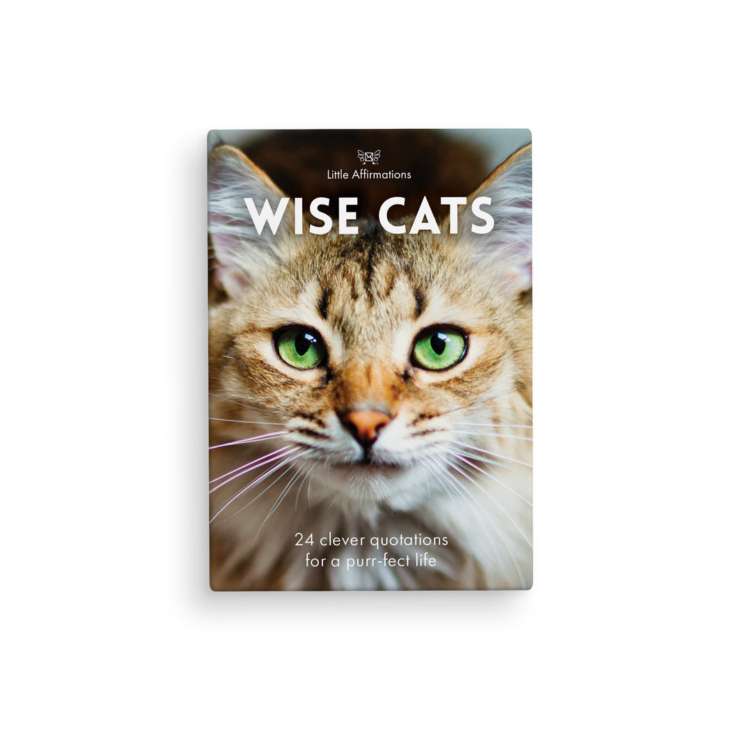 24 Animal Affirmation Cards & Stand - Wise Cats