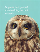 Load image into Gallery viewer, 24 Affirmation Cards &amp; Stand - Wise Old Owls
