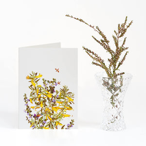 Bell Art Boxed Cards - Woodlands Collection