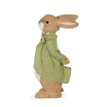 Load image into Gallery viewer, Mr Meadow Rabbit with Bowtie 46cm
