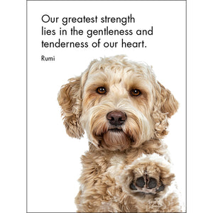 24 Animal Affirmations Cards & Stand - Good Dogs