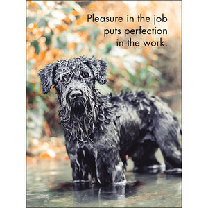 24 Animal Affirmations Cards & Stand - Good Dogs