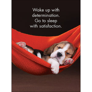 24 Animal Affirmations Cards & Stand - Good Dogs