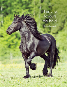 24 Animal Affirmation Cards & Stand - Horse Sense