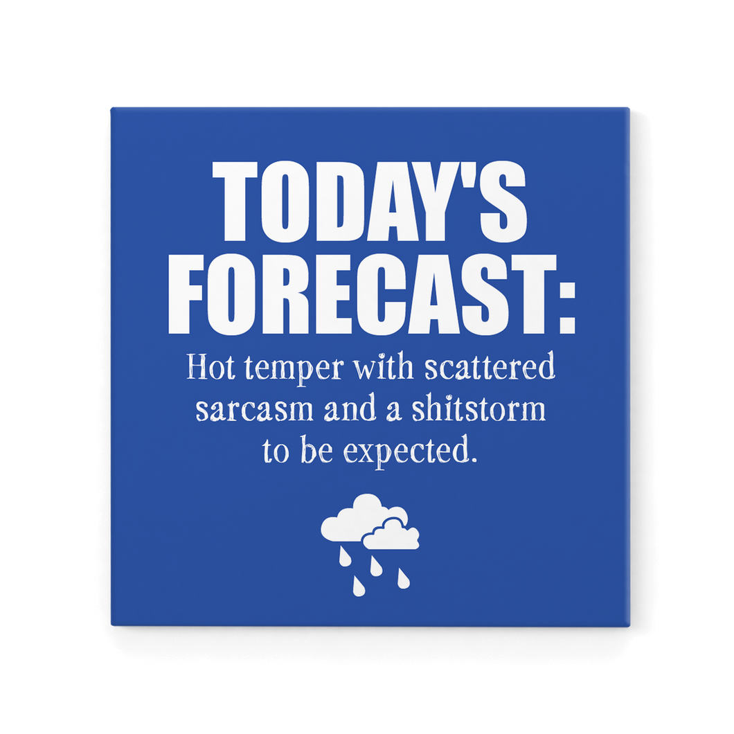 Fridge Magnet - Today's Forecast...