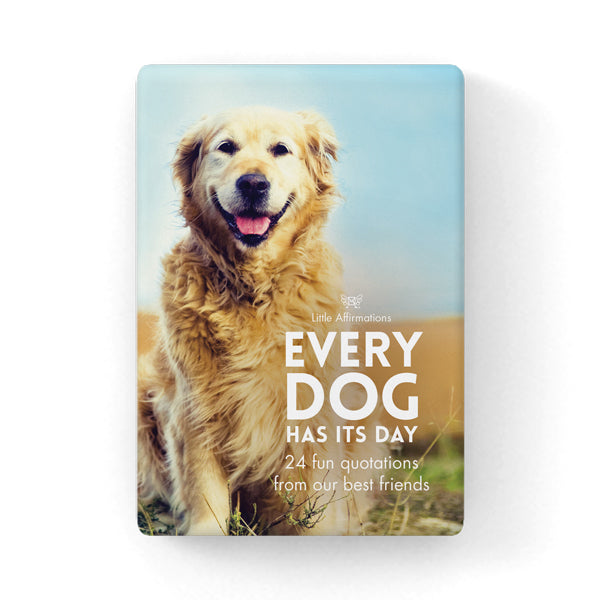 24 Animal Affirmations Cards & Stand - Every Dog has it's Day