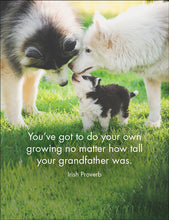 Load image into Gallery viewer, 24 Animal Affirmations Cards &amp; Stand - Every Dog has it&#39;s Day
