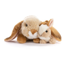 Load image into Gallery viewer, Demdaco Plush Bunny &amp; Baby 10cm H
