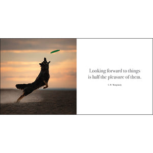 Inspirational Book - Flying Dogs