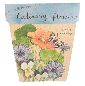 Sow n Sow Culinary Flowers Gift of Seeds (Australia only)