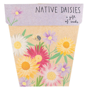 Sow n Sow Native Daisies Gift of Seeds (Australia only)