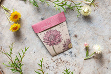 Load image into Gallery viewer, Sow n Sow Everlasting Daisy Gift of Seeds (Australia only)
