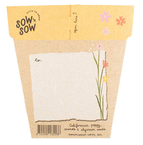 Sow n Sow Wildflowers Gift of Seeds (Australia only)