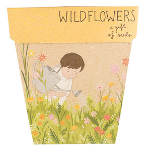 Sow n Sow Wildflowers Gift of Seeds (Australia only)