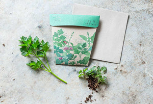 Sow n Sow Garden Herbs Gift of Seeds (Australia only)