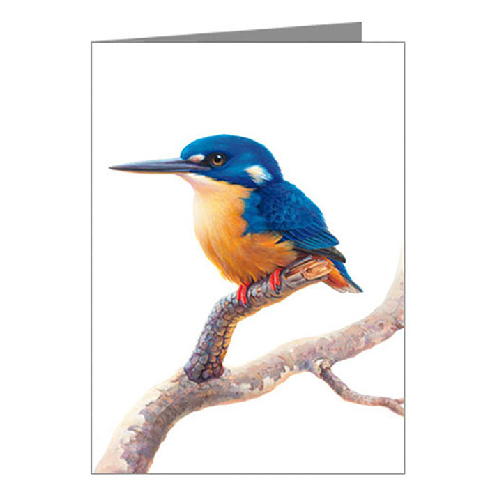 Jeremy Boot Card - Azure Kingfisher