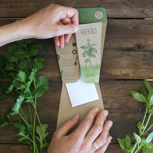 Sow n Sow Trio of Herbs Gift of Seeds (Australia only)