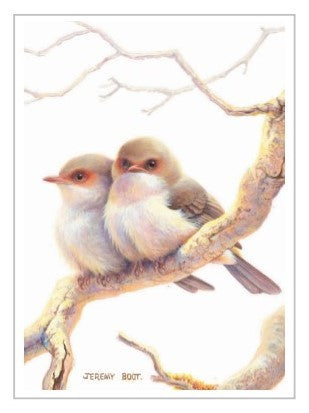 Jeremy Boot Gift Tag - Two Young Blue Wrens