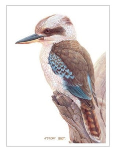 Jeremy Boot Gift Tag  - Kookaburra