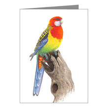 Load image into Gallery viewer, Jeremy Boot Card - Eastern Rosella
