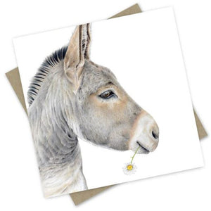 Greeting Card - "Fergus" Daisy Donkey