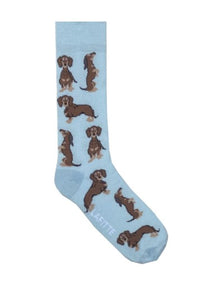 Australian Made Cotton Socks - Sky Blue Dachshunds