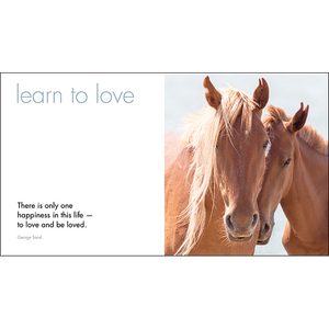 Inspirational Quote Book - A little Book of Heavenly Horses