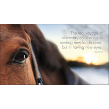 Load image into Gallery viewer, Inspirational Quote Book - A little Book of Heavenly Horses
