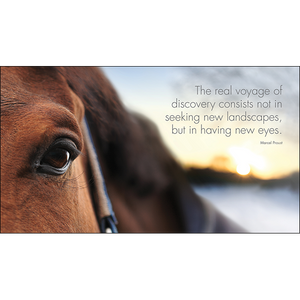 Inspirational Quote Book - A little Book of Heavenly Horses