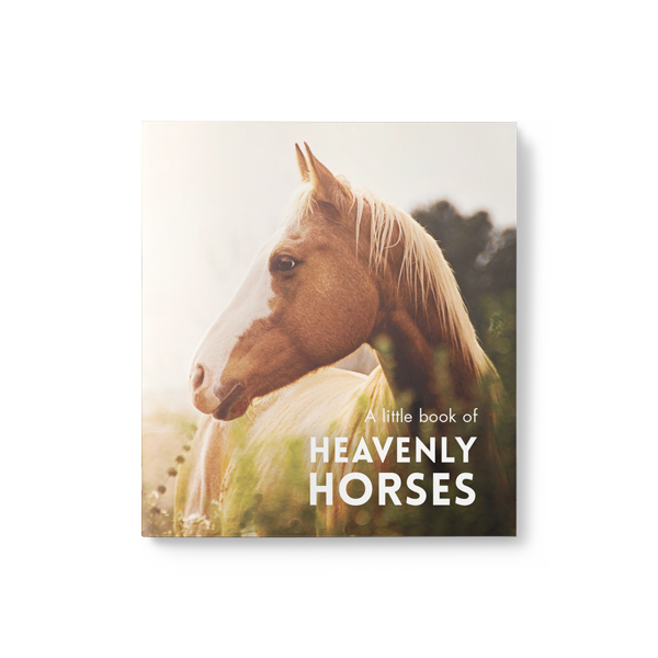 Little Softcover book filled with breathtaking horse photography & uplifting quotes. 24 pages and small enough to pop in the post in a greeting card. 85mm x 95mm