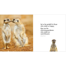 Load image into Gallery viewer, Inspirational Quote Book - A Little Book of Meerkat Magic
