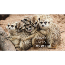 Load image into Gallery viewer, Inspirational Quote Book - A Little Book of Meerkat Magic
