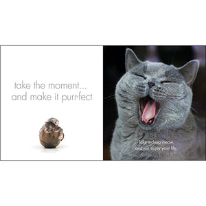 Inspirational Quote Book - A Little Book of Purrfection